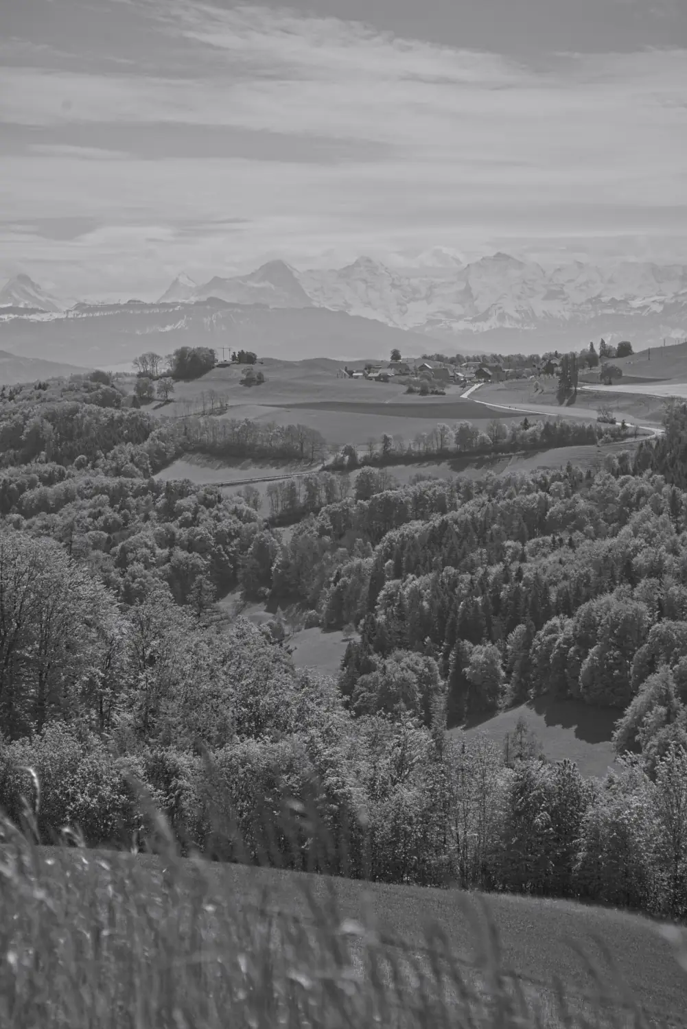 Another view from Gurten onto Englisberg and the alps