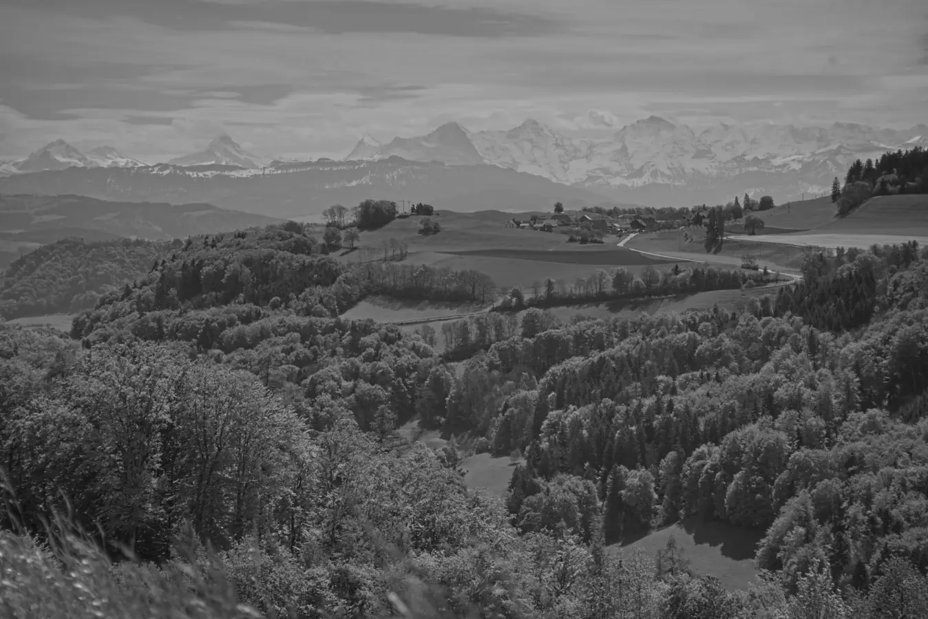View from Gurten onto Englisberg and the alps