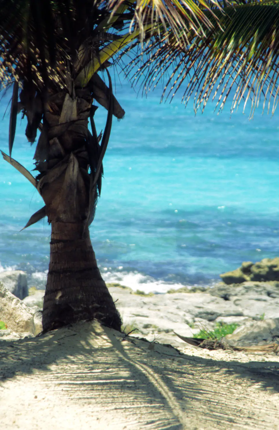View in front of the cabin on the beach in Tulum/Mexico.