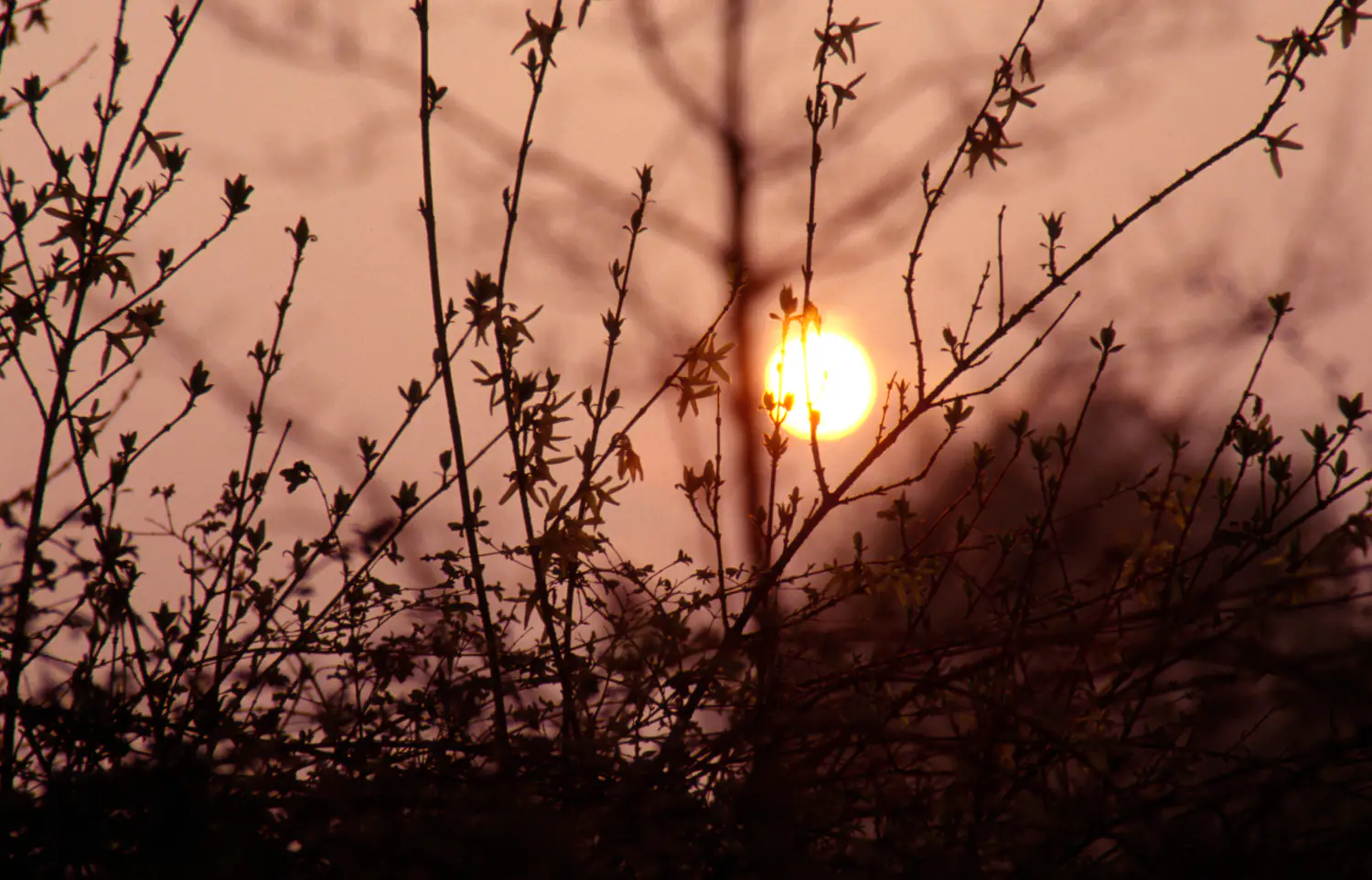 Sunrise Sennestadt/Germany